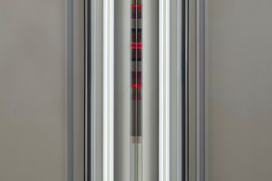 Robert Irwin