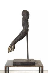 Untitled Meat Arm by Kiki Smith contemporary artwork sculpture