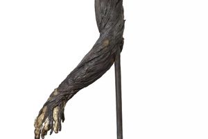 Kiki Smith
