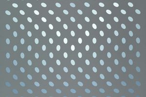 Bridget Riley