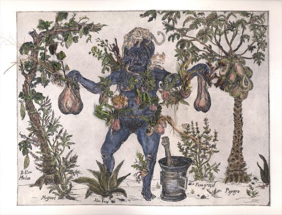 Sycoraxs Collection Herbarium by Candice Lin contemporary artwork Mixed Media