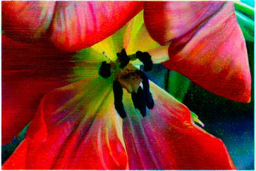 Tim Maguire contemporary artist