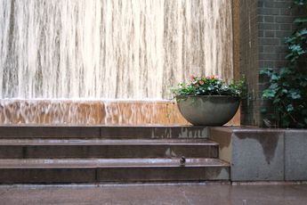 Contemporary art exhibition Laura J. Padgett Bliss at GaleriePeterSillem Frankfurt Germany