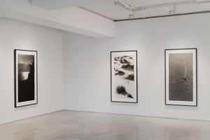Jungjin Lee