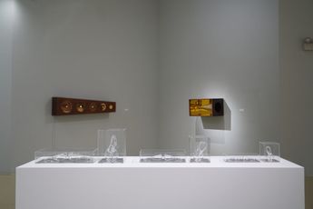 Contemporary art exhibition Dr. Susie Lingham Thought Sample Return at Gajah Gallery Singapore