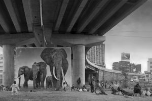 Nick Brandt