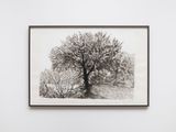 Texas Border Pieces 9 by David Claerbout contemporary artwork drawing painting works on paper