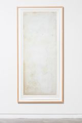 Subtilis 2 by Joyce Campbell contemporary artwork photography