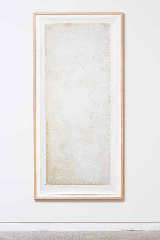 Subtilis 2 by Joyce Campbell contemporary artwork Photography