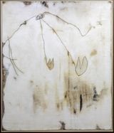 Levitation by Joong Baek Kim contemporary artwork painting photography print works on paper