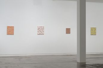Contemporary art exhibition Selina Foote On a Clear Night at Two Rooms Auckland New Zealand