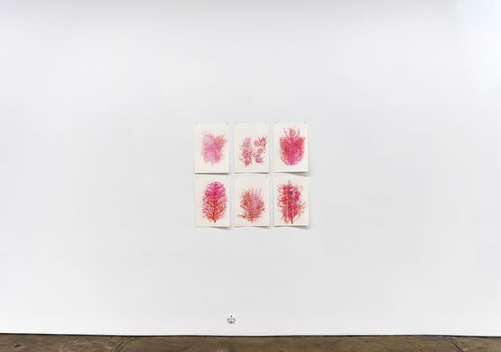 Bio Techno Imaginations by Alicia Frankovich contemporary artwork Works on Paper
