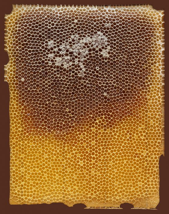 Midada da structura - Bienenwabe 02 verso 4 72 by Mirko Baselgia contemporary artwork Mixed Media