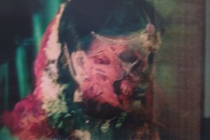 Chitra Ganesh