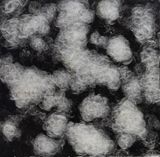 Black by Liang Shaoji contemporary artwork mixed media
