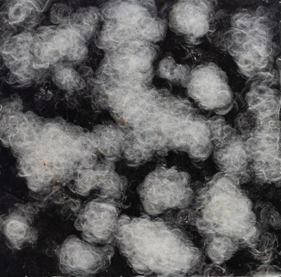 Black by Liang Shaoji contemporary artwork Mixed Media
