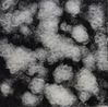 Black by Liang Shaoji contemporary artwork Mixed Media