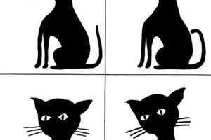 David Shrigley