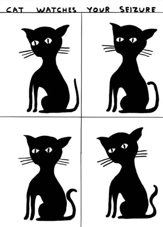 Untitled Cat Watches Your Seizure by David Shrigley contemporary artwork Print