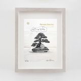 Sheraton Motor Inn Bonsai on the Rocks by Daniel Arsham contemporary artwork works on paper