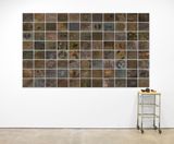 Trajectory of Evolutionary Correspondences by Michelle Stuart contemporary artwork installation