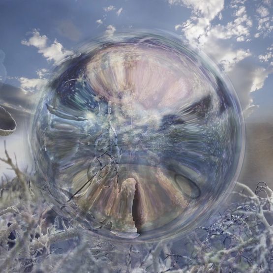 Symbioplot by Ji Hye Yeom contemporary artwork Moving Image