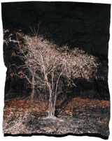 Manifest XXIV by Tenzing Dakpa contemporary artwork photography
