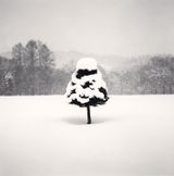 Snow Parfait Tree Wakoto Hokkaido Japan by Michael Kenna contemporary artwork photography