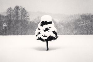 Michael Kenna