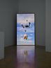 DISARM portrait by Fiona Banner Aka The Vanity Press contemporary artwork Moving Image