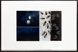 100 Questions 50 Lies A Recital of True Events by Philippe Parreno contemporary artwork painting works on paper