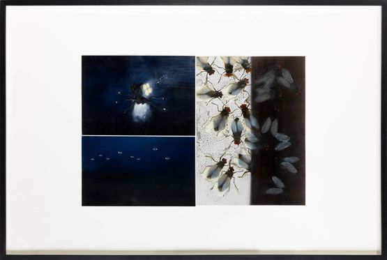 100 Questions 50 Lies A Recital of True Events by Philippe Parreno contemporary artwork Painting