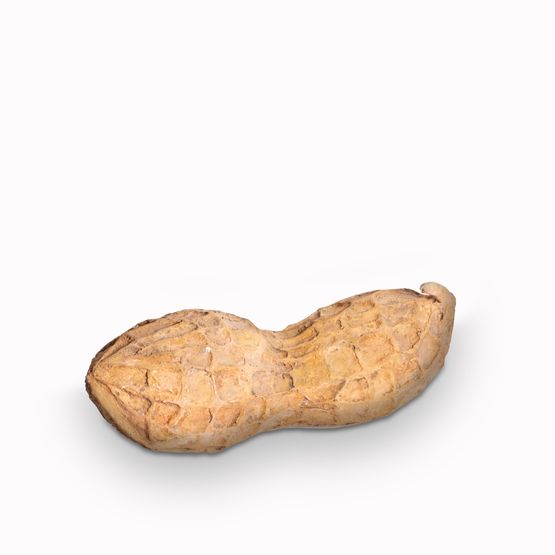 Peanut by Fay Ming contemporary artwork Sculpture