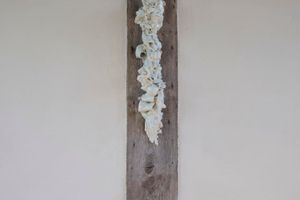 Rachel Kneebone