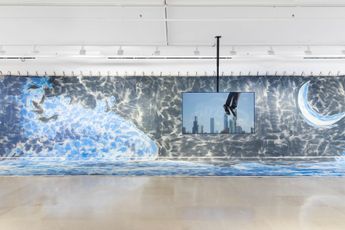 Contemporary art exhibition Steffani Jemison Bound at Greene Naftali New York United States