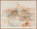 Great desert skink colony with map of basking mound birthing pool and defecatorium by John Wolseley contemporary artwork Works on Paper