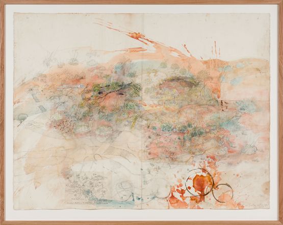 Great desert skink colony with map of basking mound birthing pool and defecatorium by John Wolseley contemporary artwork Works on Paper