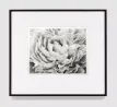 Study of PeoniesHorz by Robert Longo contemporary artwork Works on Paper