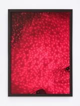 Untitled by Malte Sanger contemporary artwork photography