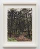 Untitled by John Hodgkinson contemporary artwork Works on Paper