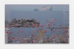Petra Cortright contemporary artist