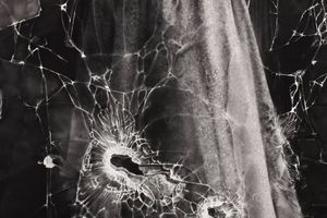 Robert Longo