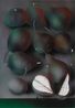 Fruits by Leng Guangmin contemporary artwork Painting