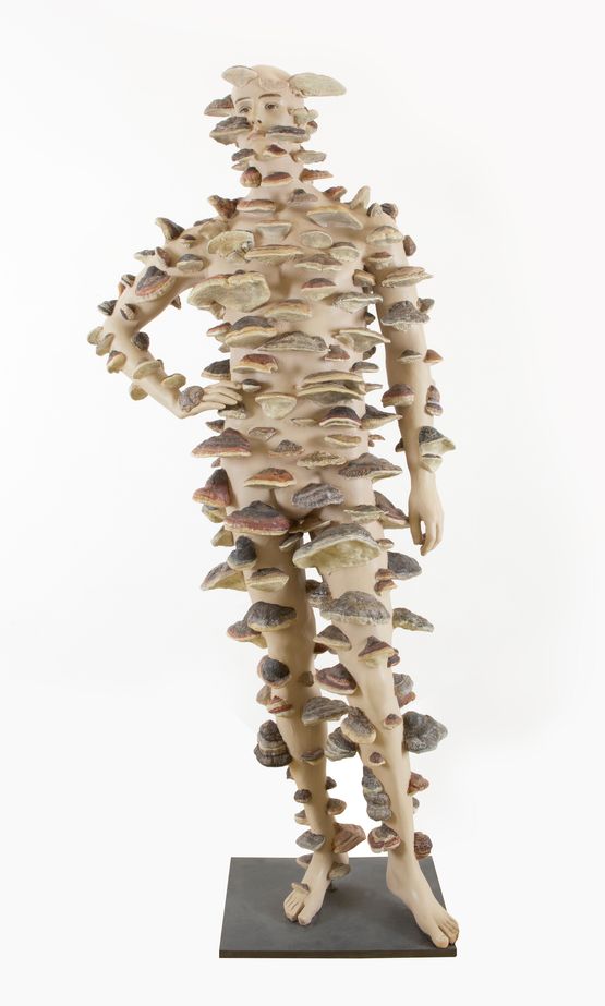 Invasion by Lois Weinberger contemporary artwork Sculpture