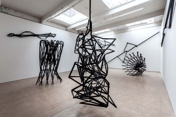 Contemporary art exhibition Monika Sosnowska Monika Sosnowska at The Modern Institute Airds Lane United Kingdom