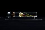 revolution  gravity artificial flower  glass ball by Yukio Fujimoto contemporary artwork mixed media sculpture