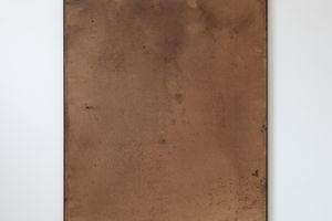 Leonardo Anker Vandal