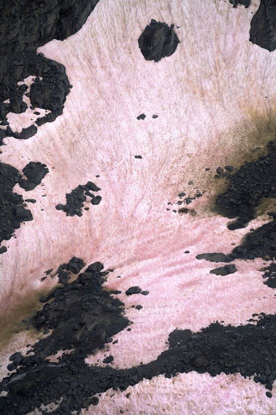 Presena Gletscher Blutschnee 8 by Thomas Wrede contemporary artwork Photography