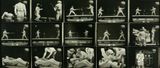 Fencing No. I by Gottfried Bechtold contemporary artwork painting works on paper photography print