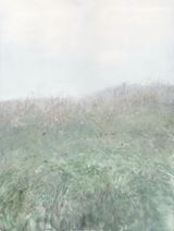 Grass on the Meadow No.12 by He Duoling contemporary artwork sculpture